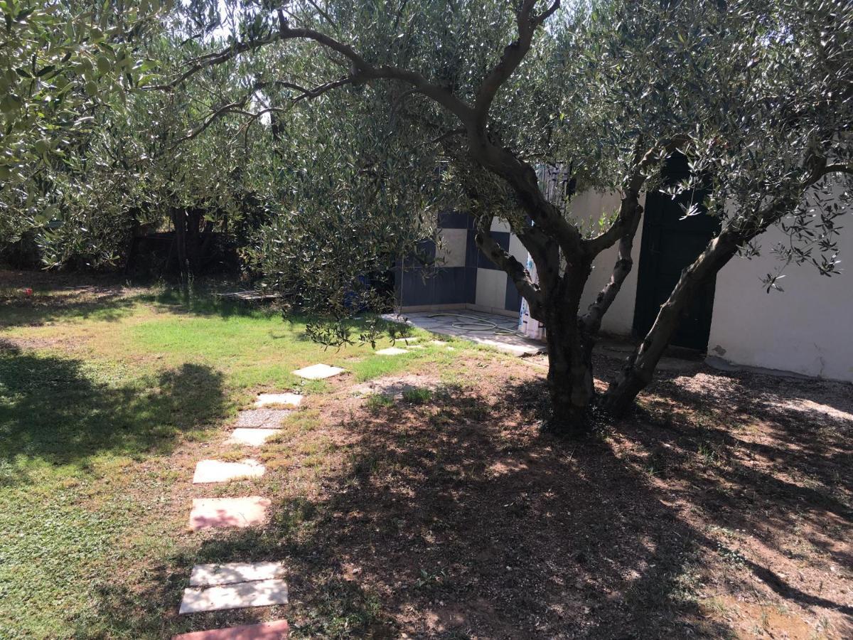 Appartement Hrisavgi