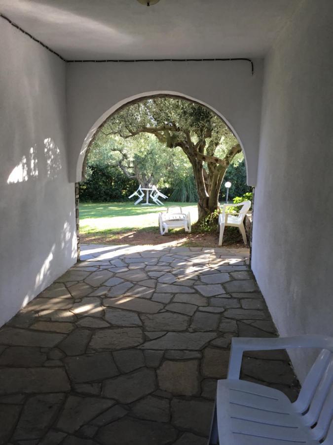 Appartement Hrisavgi Nikiti (Sithonia)